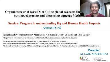 Organomercurial lyase (MerB): the global tweezers that can be used for cutting, capturing and biosensing aqueous